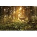 Фотообои Лесной олень DECOCODE 32-0006-PG (300х200см) Фотообои- Каталог Remont Doma