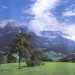 Декоративное панно Альпийский луг 294х201  (9 листов) - купить по низкой цене | Remont Doma