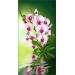 Купить Декоративное панно VIP Орхидея 261х134 (6л)  в Починке в Интернет-магазине Remont Doma