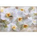 Купить Декоративное панно Белая орхидея 196х134 (4 листа) в Починке в Интернет-магазине Remont Doma