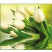 Купить Декоративное панно VIP Белые тюльпаны 294х260 (12 листов)   в Починке в Интернет-магазине Remont Doma