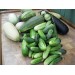 Купить Удобрение Агровита для огурцов  и кабачков 100г в Починке в Интернет-магазине Remont Doma
