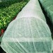 Укрывной материал AGROL СУФ № 17 (3,2*10м) - купить по низкой цене | Remont Doma