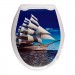 Сиденье жесткое с рисунком "Корабль" 1/10 — купить в Починке: цена за штуку, характеристики, фото