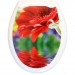 Сиденье жесткое с рисунком "Красная гербера" 1/10- купить, цена и фото в интернет-магазине Remont Doma