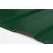 Купить Профнастил С-8 RAL 6005 зеленый мох 0,35х1200х1500 мм в Починке в Интернет-магазине Remont Doma